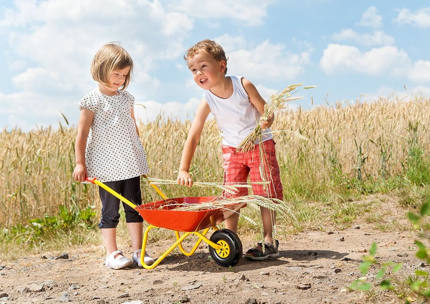 Rolly Metal Wheelbarrow for Kids – Sturdy Garden Tool for Ages 2½+